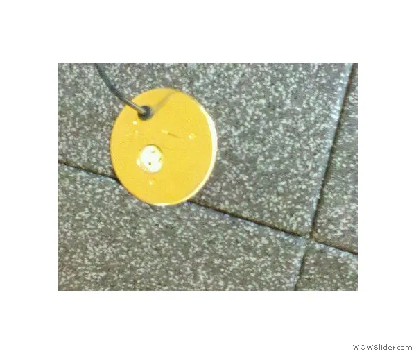 48096_147015762137333_544499282_n