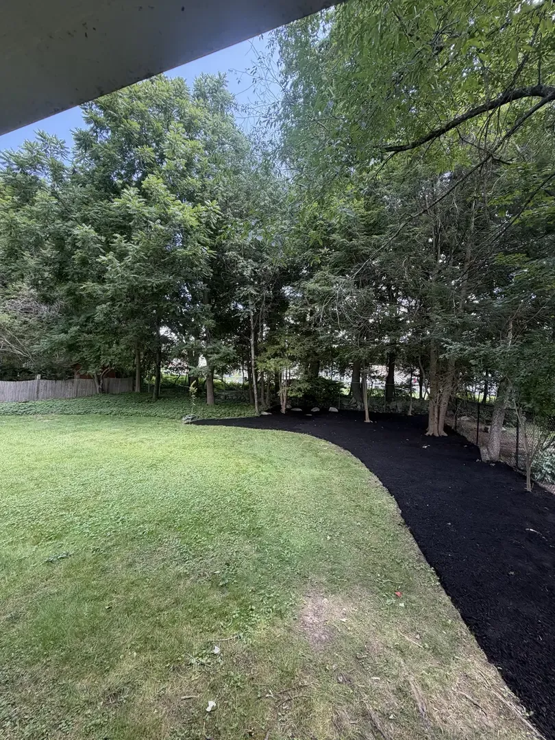 Finished woodland garden bed with a smooth edge and fresh black pine mulch