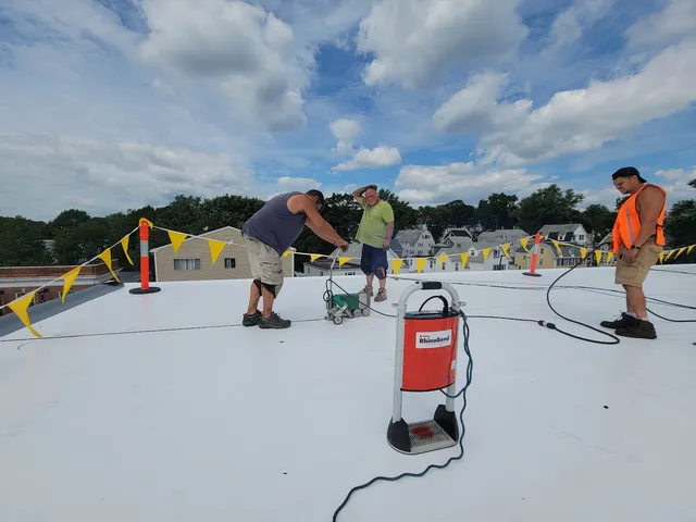 Stella Roofing Services