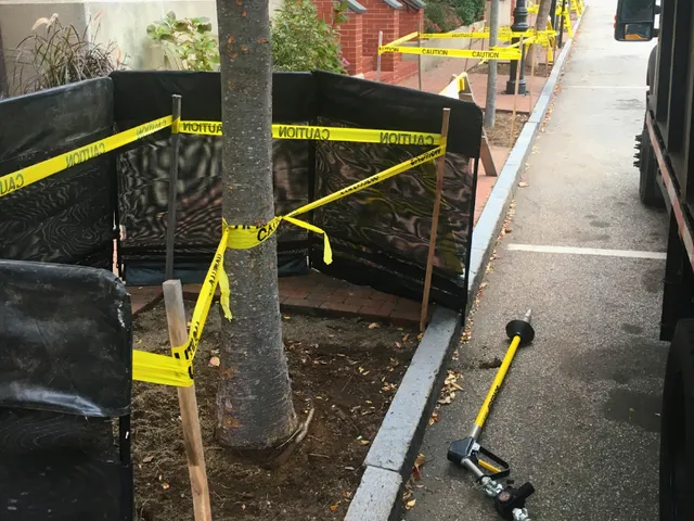 work photo from shadygrovetreecare.com