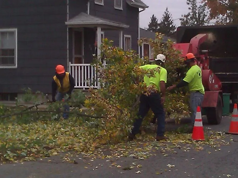 work photo from huntertreeservice.biz