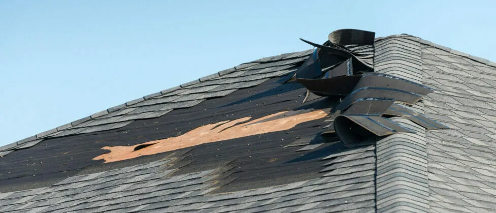 Storm-torn shingles on a Massachusetts roof