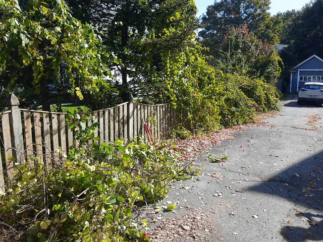 fence repair and rehab