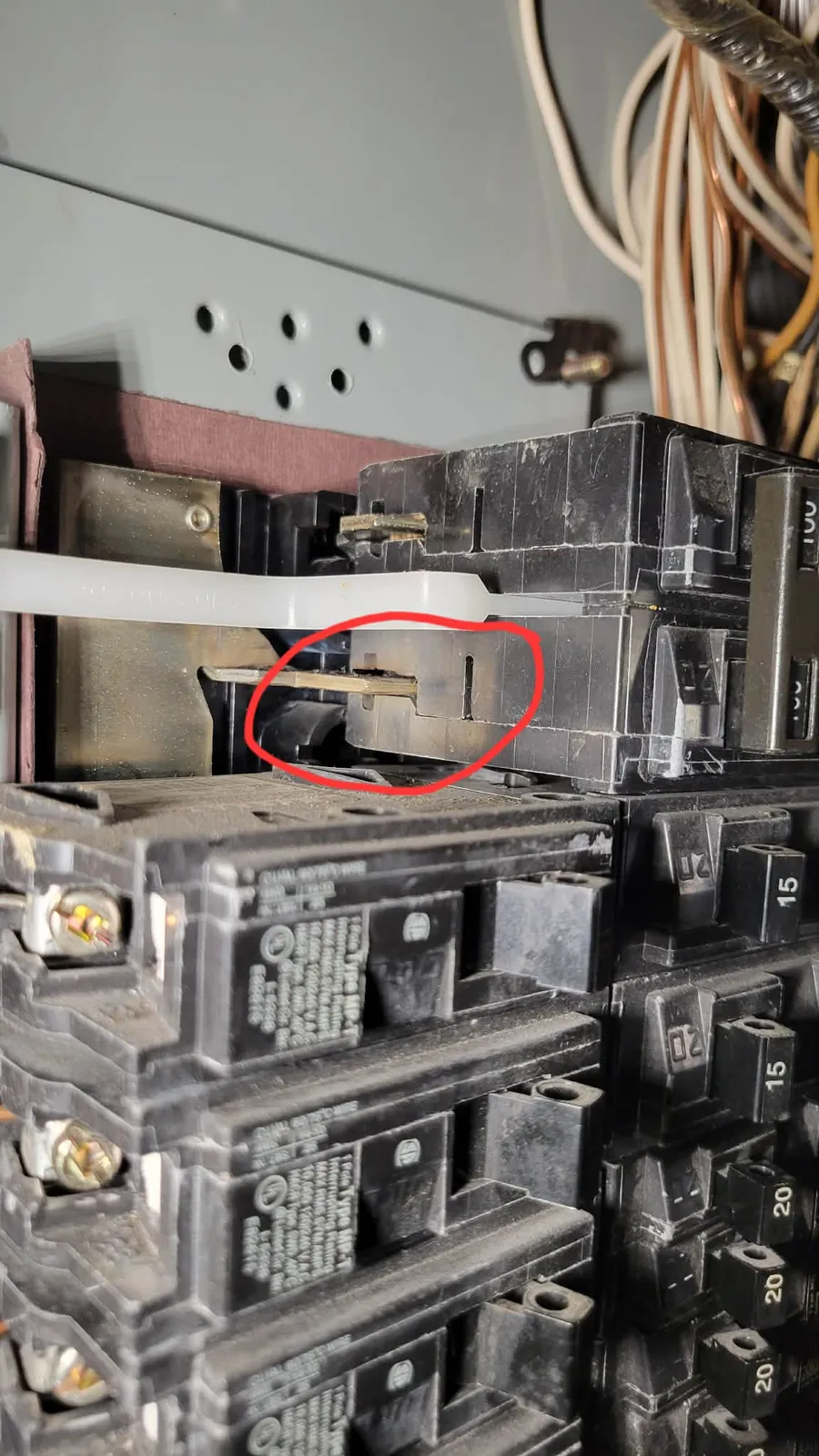 work photo from Google listing