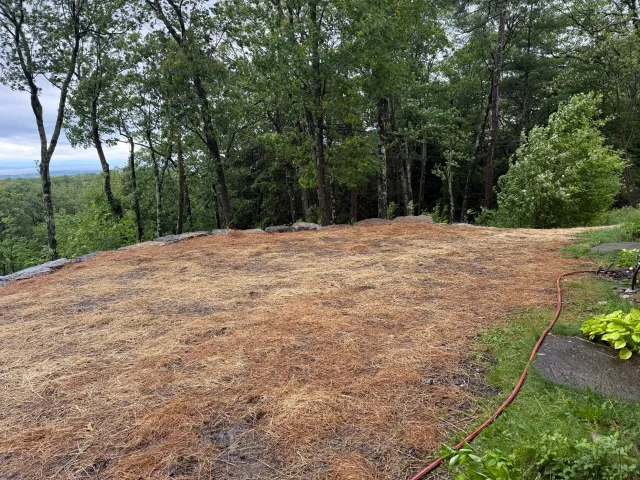 work photo from talbertoutdoormaintenance.com
