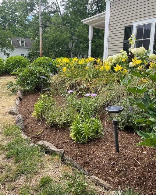 SWIPE to see the hidden potential in this happy customer’s property! 🤠

Find the inner perfection in your property with High St. Lawn Unlimited garden design services. 
Read more by going to WWW.highstlawn.com/garden-design, link in bio!

#concordma #hslu #highstlawnunlimited #flowers #landscaping #lawncare #planting gardening #lawnmower #color #summer  #stripenation #lawncarenut #lawncarenation
#lawncareservice
#landscapepainting
#landscapes
#yards #mowers #zeroturn #lawncarelife
#landscapers #stripe #stripes #lawncarecommunity
#stripelifegear 
#backyard #grass