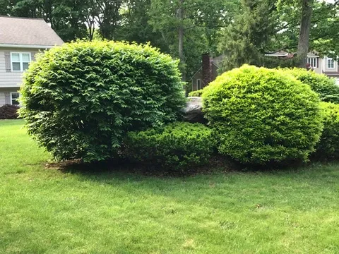 work photo from armandoandsonslandscaping.com