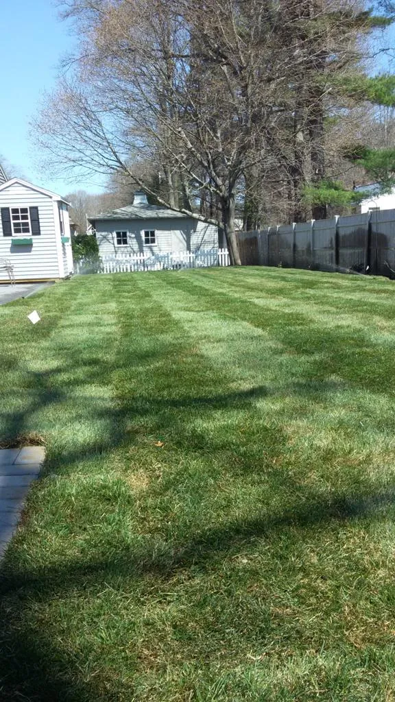 Landscaping