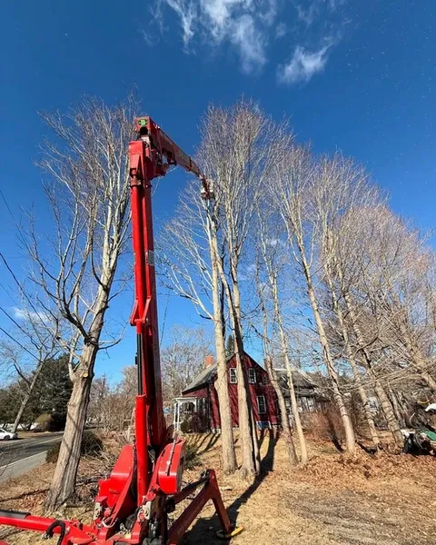 work photo from brendanslandscape.com