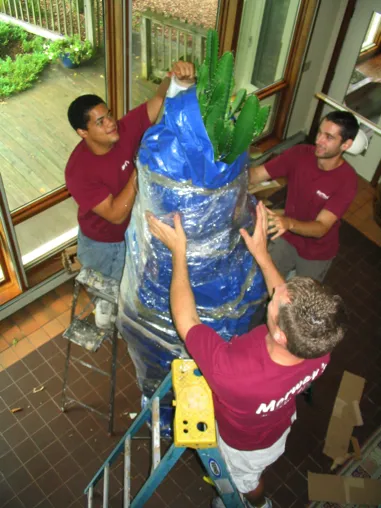 work photo from Google listing