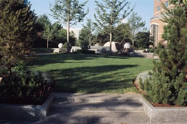 work photo from arbor-turf.com
