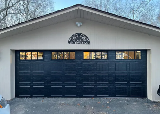 Doorviz Garage Doors work photo