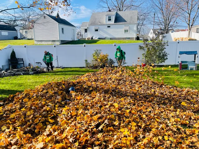 Hands on Landscaping work photo