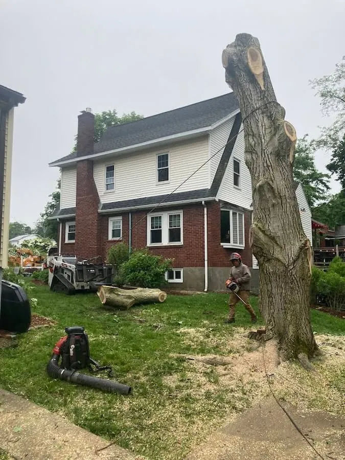 ANTHONY TREE SERVICES AND LANDSCAPING