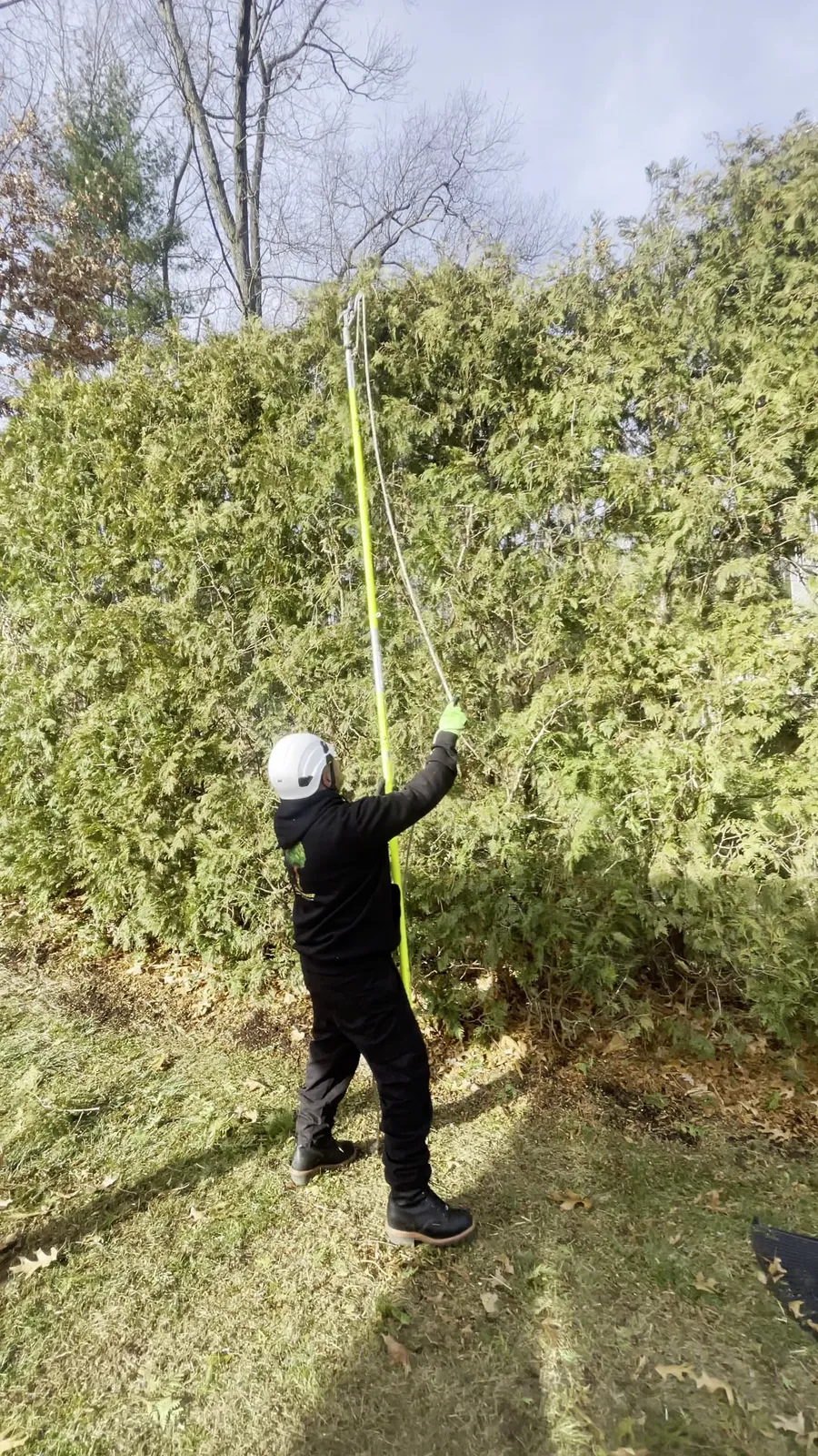work photo from Google listing
