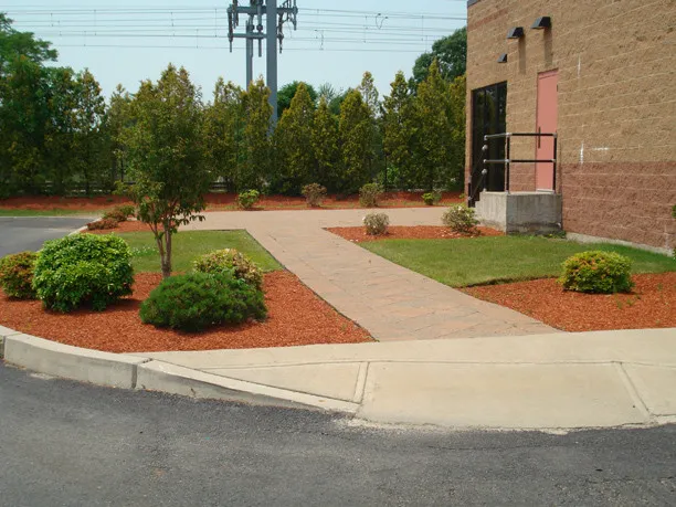R. M. Cacciapaglia Landscape & Tree Co. researched project photo