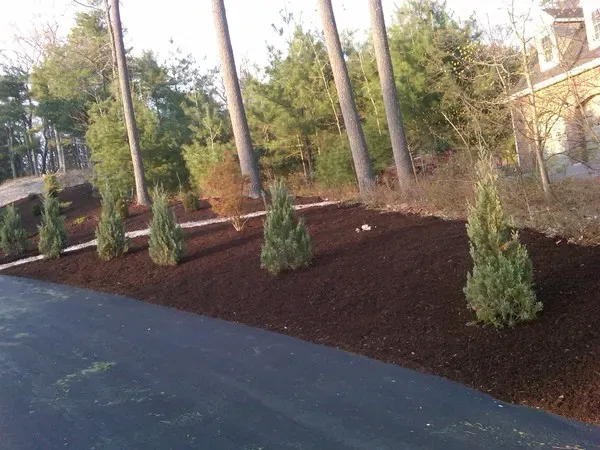 work photo from limaslandscape.com