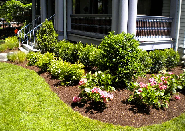 M J Nicholls Landscaping