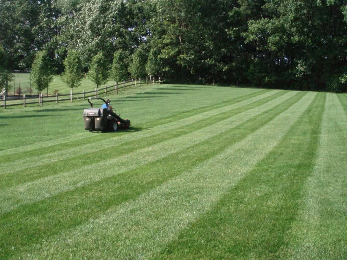 work photo from randalllandscaping.com