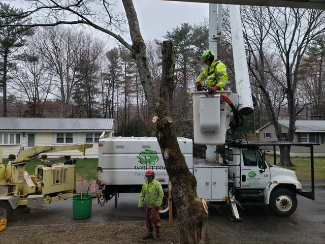 Welltree Inc work photo