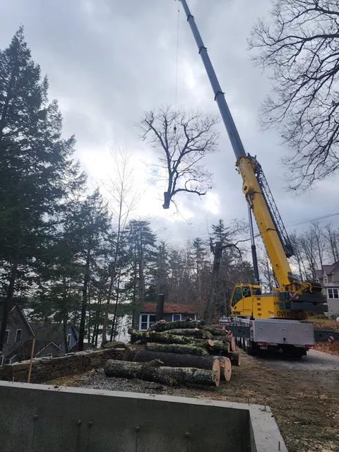 work photo from jwlandclearing.com