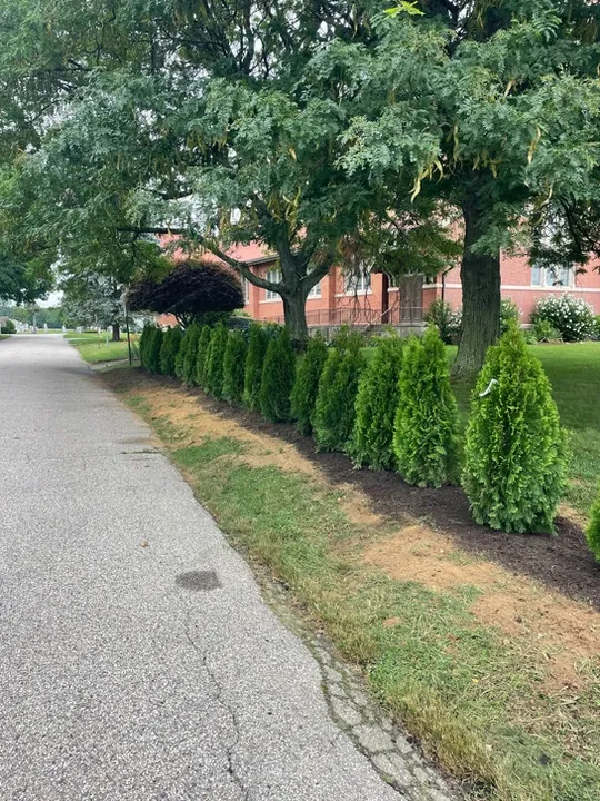 work photo from greenworldlandscapingri.com