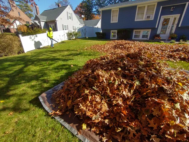 Oasis Landscaping & More LLC work photo