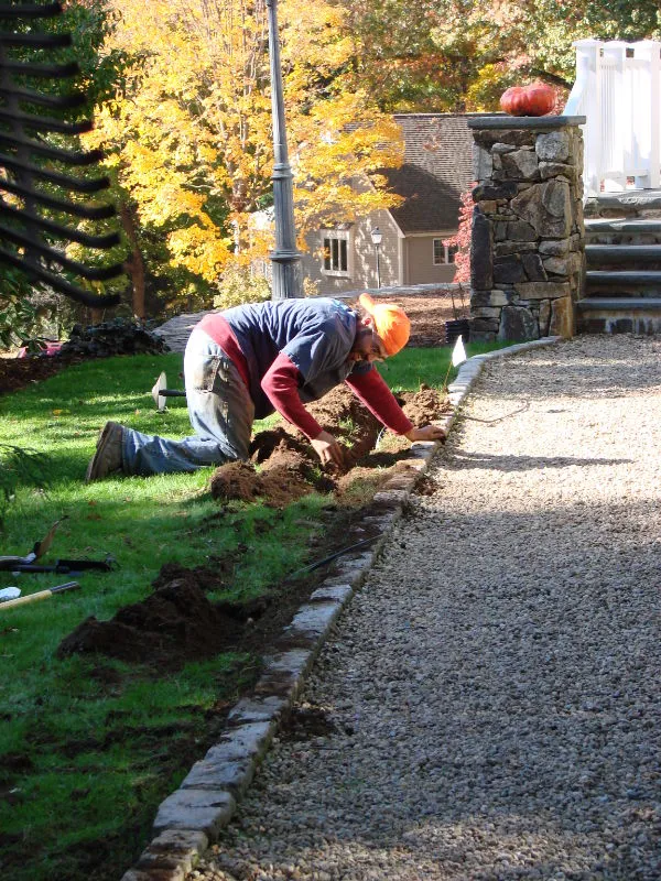 Belmont Landscape & Tree researched project photo