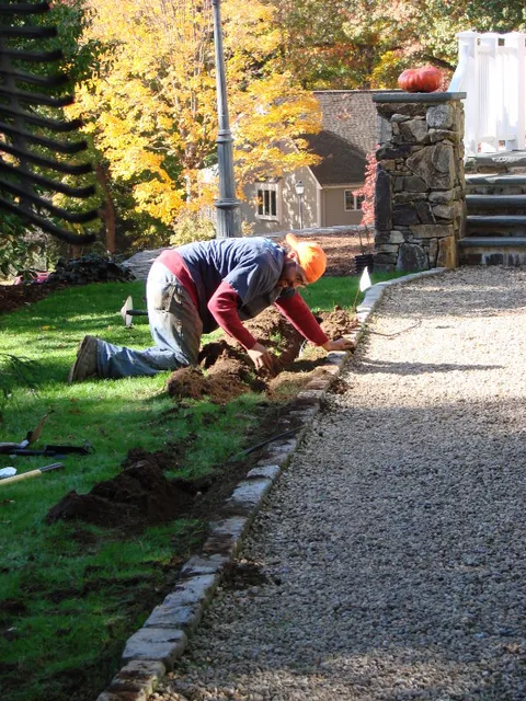 Belmont Landscape & Tree researched project photo