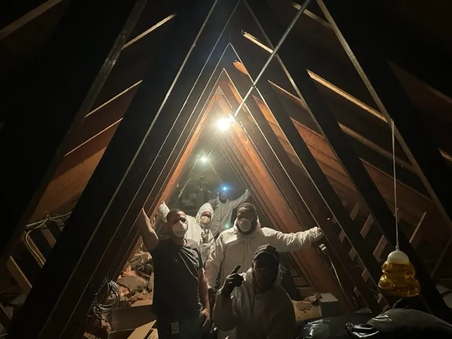 B. Alpha Construction LLC