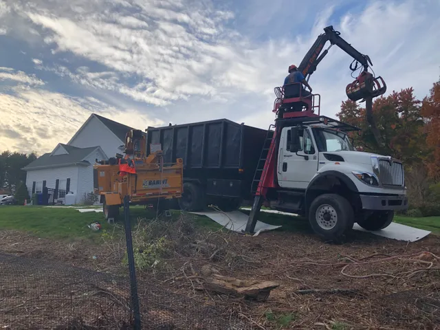 NorthWorx Tree Care work photo