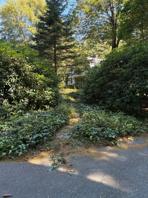 Oak & Laurel Landscape Design researched project photo