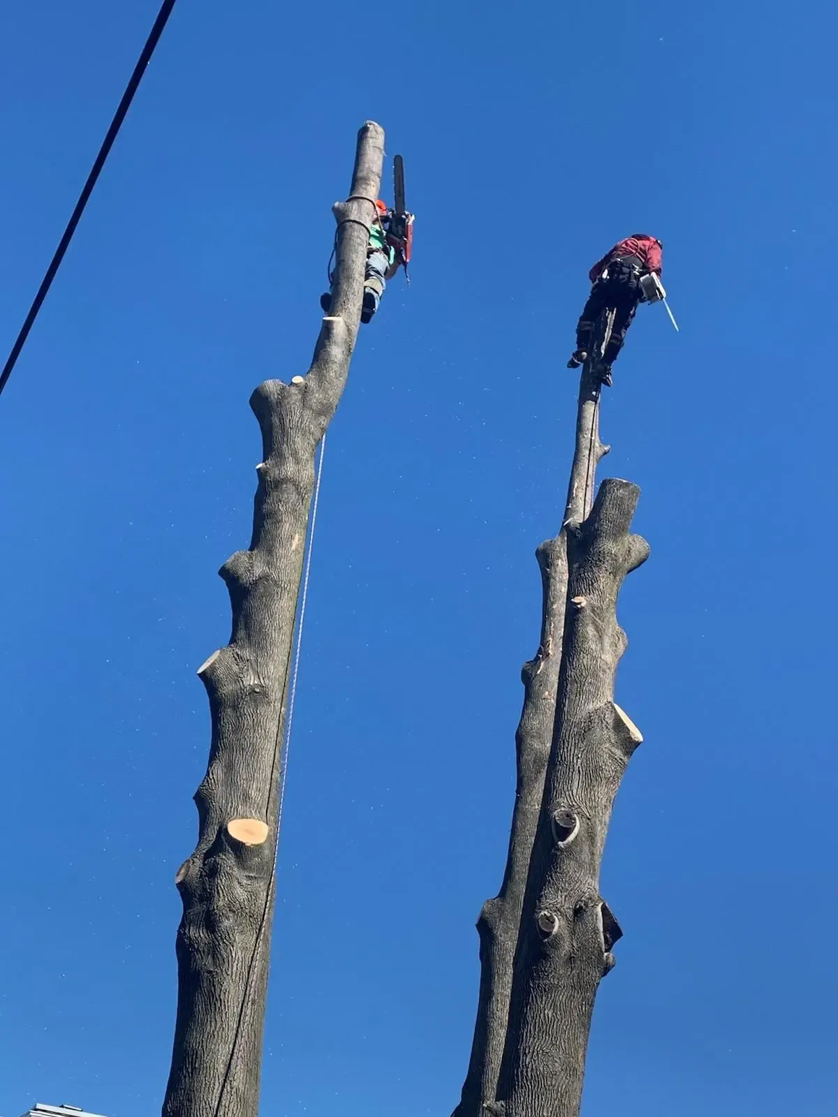 work photo from jhernandezlandscaping.com
