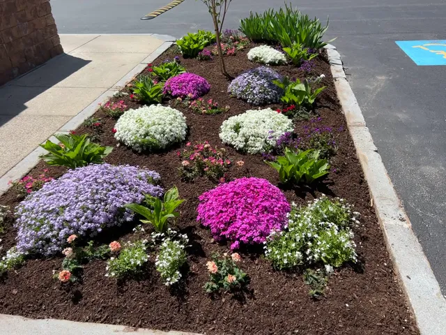 Affordable Lawn Care work photo