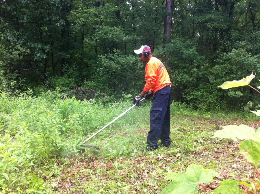 work photo from anfalandscaping.com