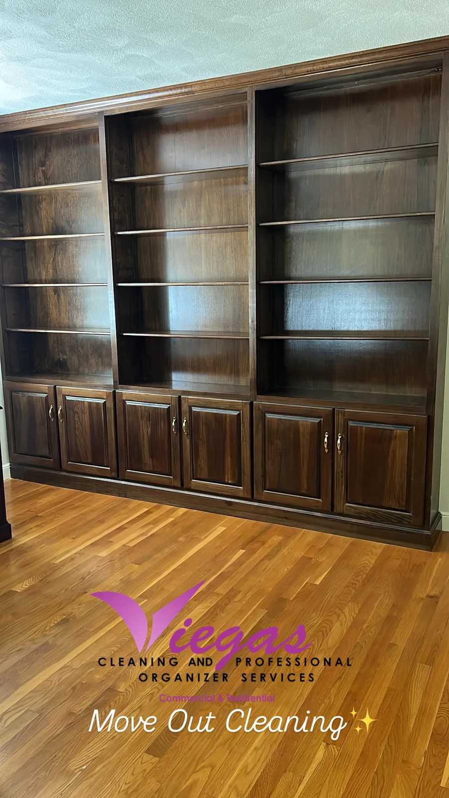 VIEGAS CLEANING AND PROFESSIONAL ORGANIZER SERVICES