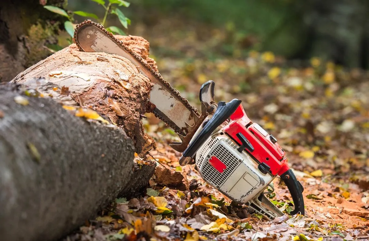 Chainsaw resting on a freshly cut tree trunk