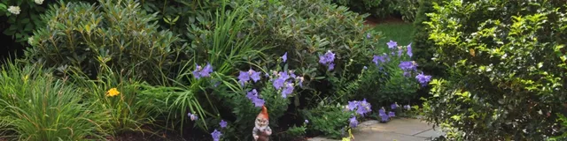 work photo from cheneylandscapedesign.com