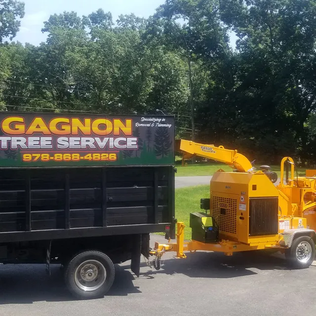 Gagnon Tree Service work photo