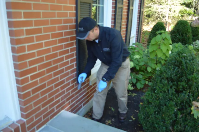 Pest Assassins work photo