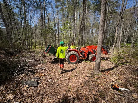 work photo from dirigotreeservice.com