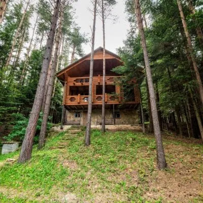Wooden home surrounded by tall mature pine trees on a wooded residential property.