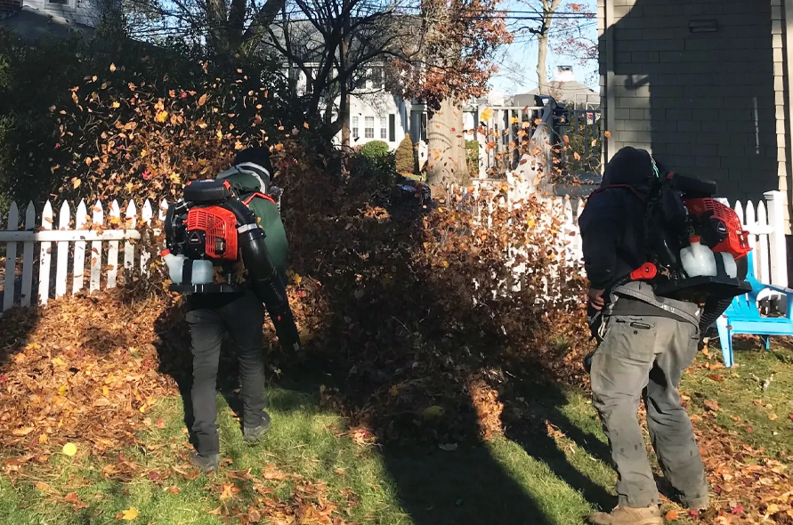 work photo from Google listing