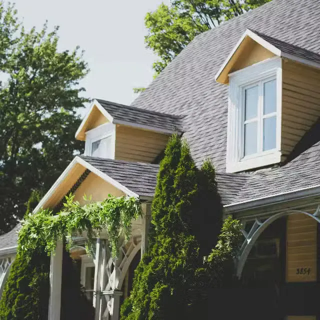 Aspen Roofing Services