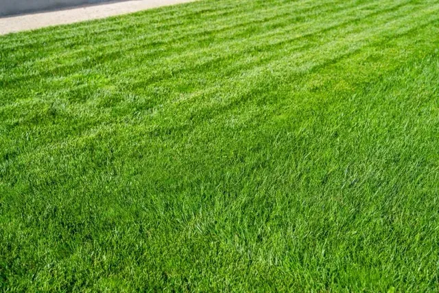 work photo from getsprinklers.com