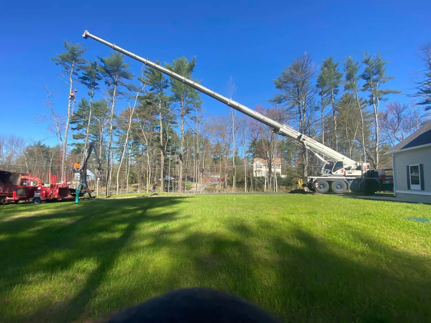 Maple Leaf Tree Service crane and chipper at a recent removal and cleanup in Hampstead,