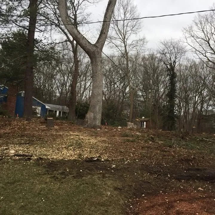 Mario's Lawncare researched project photo