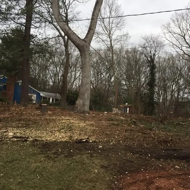 Mario's Lawncare researched project photo