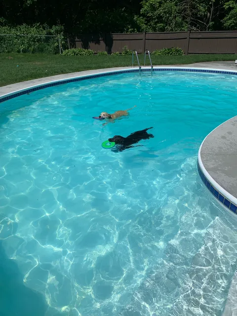 Coastal Pool Services work photo