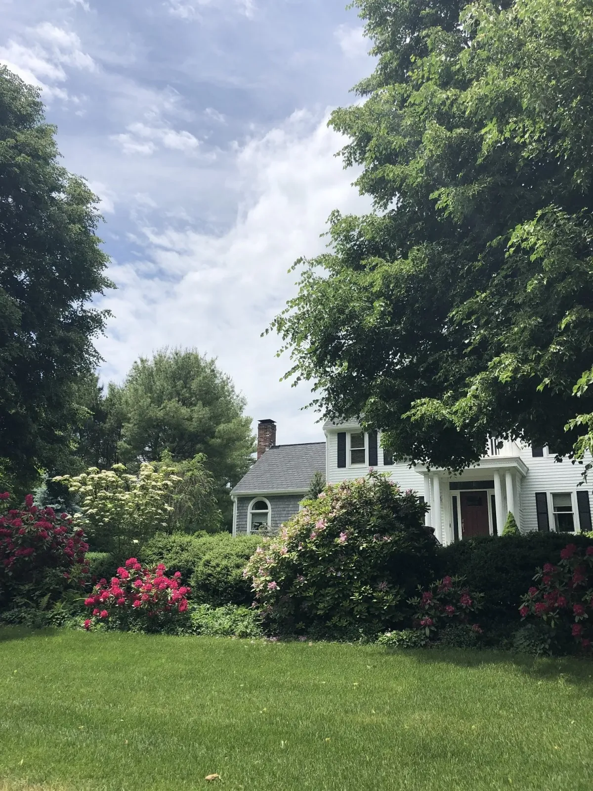Landscape Service